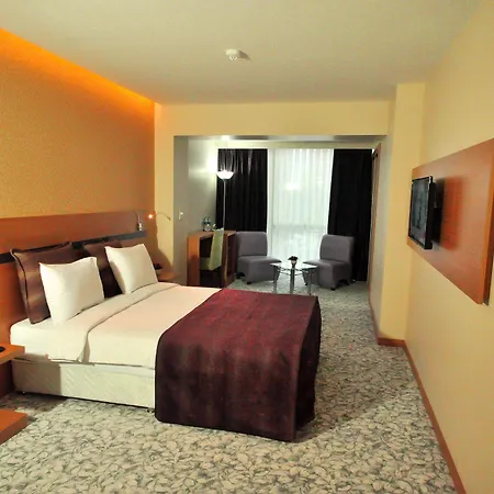 Osaka Airport Otel