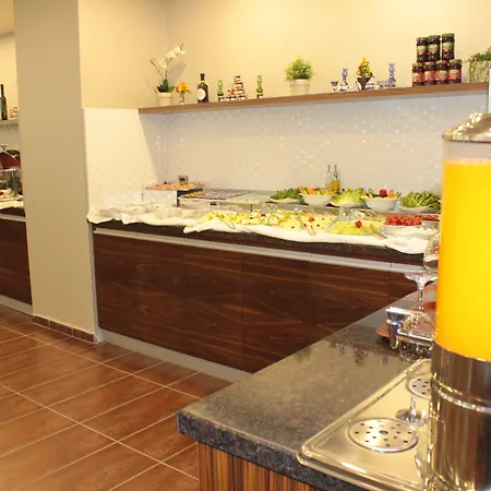 Otel Osaka Airport 3*