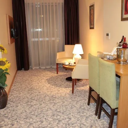 Osaka Airport Otel 3*