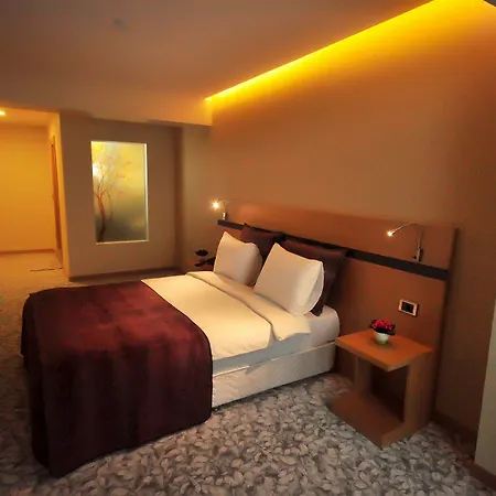 Osaka Airport Hotel Istanbul