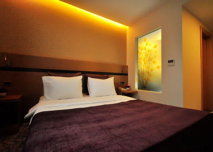 Osaka Airport Hotel 3*