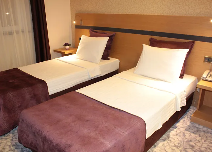 Osaka Airport Hotel 3*