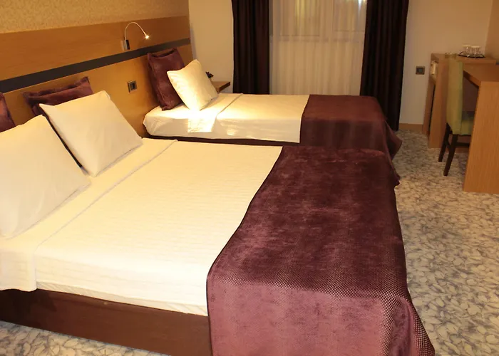 Osaka Airport Hotel Istanbulská provincie