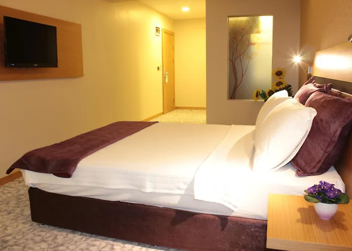 Osaka Airport Hotel 3*