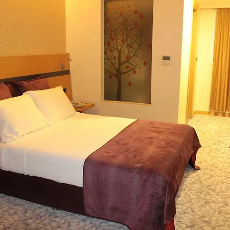Osaka Airport Hotel Istambul